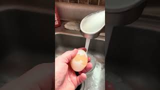 Egg Osmosis Lab-Day 2_P3