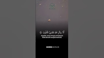 تلاوة خاشعة لآيات من كتاب الله #القرآن_الكريم #القرآن #الله #اكسبلور #foryou #راحة_نفسية #fyp #pour