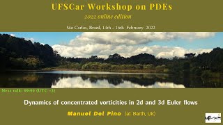 UFSCar Workshop on PDEs - 2022 online edition screenshot 3