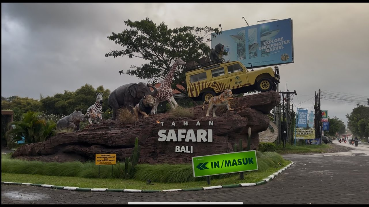 Bali Dairies Part 3|Taman Safari|Dolphin Watching|