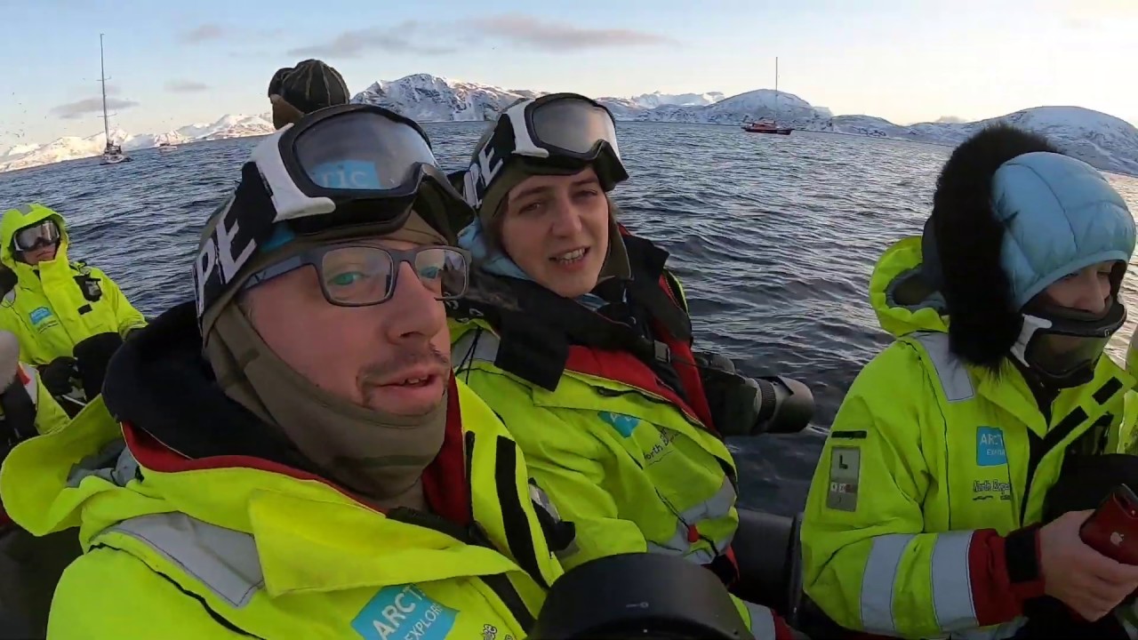 (Partie 1/2) Excursion en RIB Baleines Et Orques - 3 Novembre 2019 Norvège