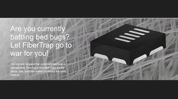 best bed bug trap in philadelphia |                                                       Fibertr...