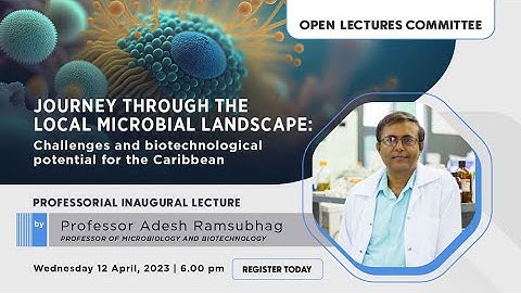 Professorial Inaugural Lecture by Professor Adesh Ramsubhag