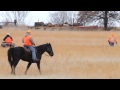 Shoot To Retrieve Gun Dog Trial Shoot To Retrieve Gun Dog Trial