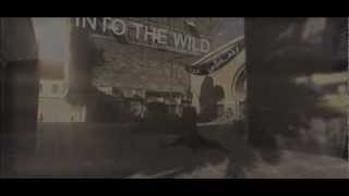 Into The Wild by P4RL (Full)