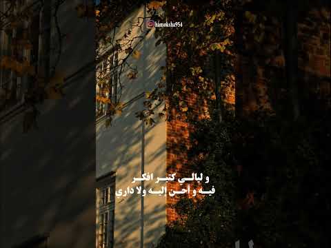 حالات واتس عمرو دياب   كفاية أنه بقاله ليلة و يوم استوريهات اكسبلور فولو  حب