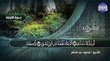 جديد نوادر المجد || تلاوة عظيمة تجلي الهموم والكروب || الشيخ محمود عبدالحكم || سورة القيامة HD