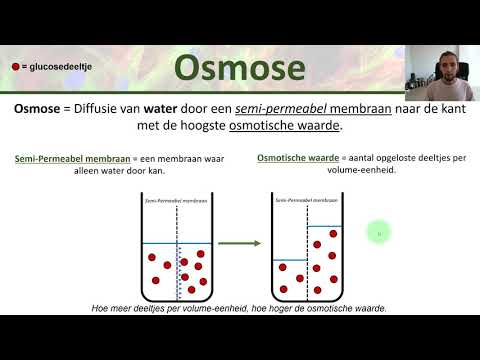 Diffusie en osmose - permeabele en semi-permeabele membranen - Inleiding biologie #3