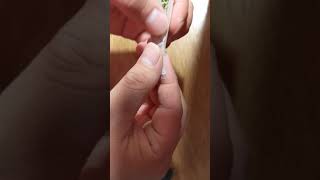 How To Roll A Joint With No Filter