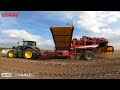 Landwirtschaftsbetrieb Bollmann / Kartoffeln Roden mit GRiMME EVO 280  Albersroda ORIGINALTON 4k UHD