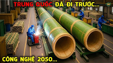 CÔNG NGHỆ TỶ ĐÔ; Trung Quốc Dùng Robot & Laser Chuyển Hóa Tre Thành Vật Liệu Xanh Cứu Thế Giới!