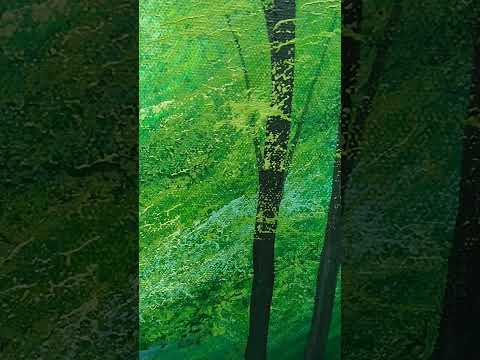 Sunlight Serenade, Forest Glade