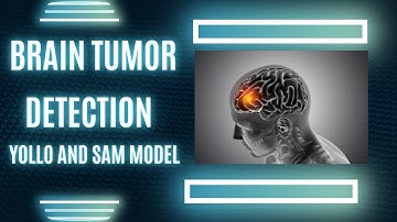 Brain Tumor Detection Using YOLOv11 & SAM2