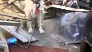 Video A0054