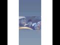 قصيدة تسبيحات الزهراء بطريقة اخرى