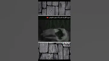 لچمو گلبي بحچايات حته بنومتي يصلن 