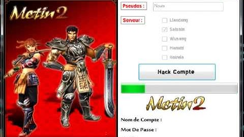 Metin2 FR account hacker V2 2011