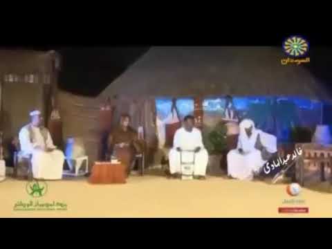 ود البله ي خطير