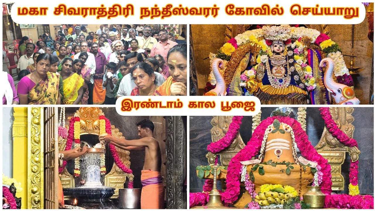 🙏🔱📿மகா சிவராத்திரி இரண்டாம் கால பூஜை அருள்மிகு தையல் நாயகி உடனுறை நந்தீஸ்வரர் திருக்கோவில், செய்யாறு