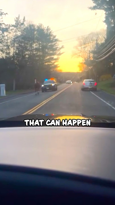 Cops Couldn’t Handle All That Horsepower - Funny Police Moment 😂 #shorts