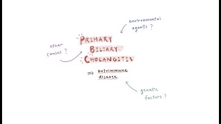 65_Using HLA-DR to establish contributing factors of Primary biliary cholangitis