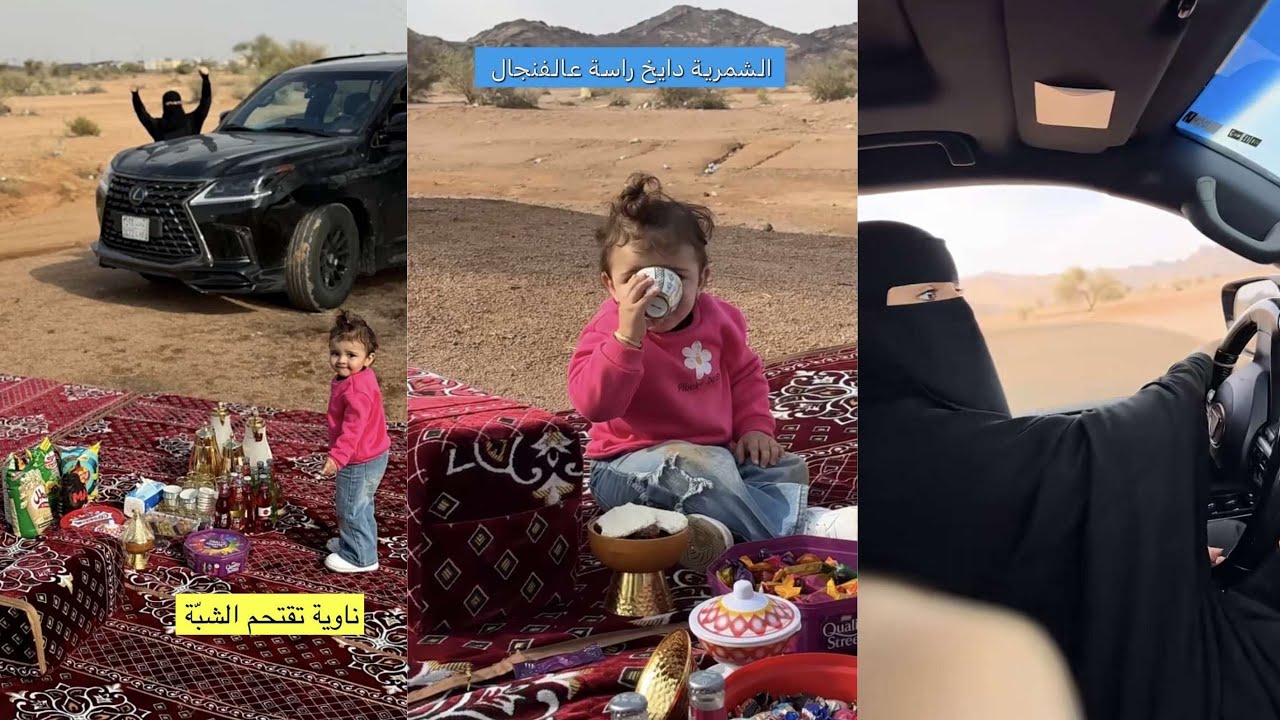 سنابات عساف الشمري| شبة نوت جاهزة 😎 الشمرية دايخ راسه عالفنجال 😴