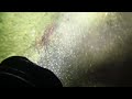 Beginning of video