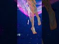 Most Satisfying 4K Slide ever 💎💨 #Anime #Snowbreak #GudinoAi