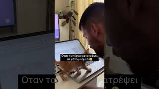 Οταν τον έχεις μετατρέψει σε γάτο-μπαμπά 🫠 #κατοικιδια
