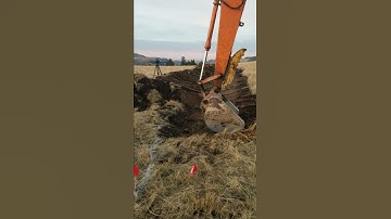 How To Design and Install a Spillway on a Swale #shorts