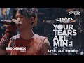 ONE OK ROCK - Your Tears Are Mine LIVE | Sub español | LUXURY DISEASE JAPAN TOUR 2023