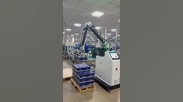 Mechanical gripper for special cartons palletizing #palletizer #cobot #automatic #palletizingrobot
