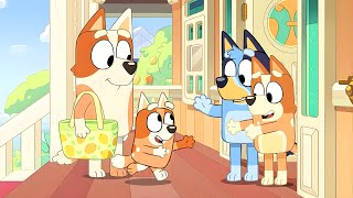 Brandy Returns With Her New Baby?!  Bluey New Episodes 2024