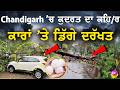 Chandigarh Heavy Rain Today | ਚੰਡੀਗੜ੍ਹ 'ਚ ਭਾਰੀ ਤੂਫ਼ਾਨ, ਗੱਡੀਆਂ 'ਤੇ ਡਿੱਗੇ ਦਰੱਖਤ—ਦੇਖੋ ਤਾਜ਼ਾ ਹਾਲਾਤ!