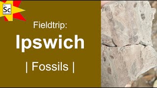 Ipswich Field Trip for Fossils | EARTH SCIENCE EXPERIMENTS | Profile