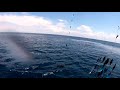 2018 Offshore World Championship | Torneio Marlin do Rio de Janeiro | Pacific Sailfish