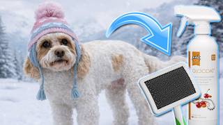 How To Avoid Winter Matting on Your Dog’s Coat | Pro Pet Grooming Tutorial