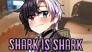 Do not forget to name your Shark