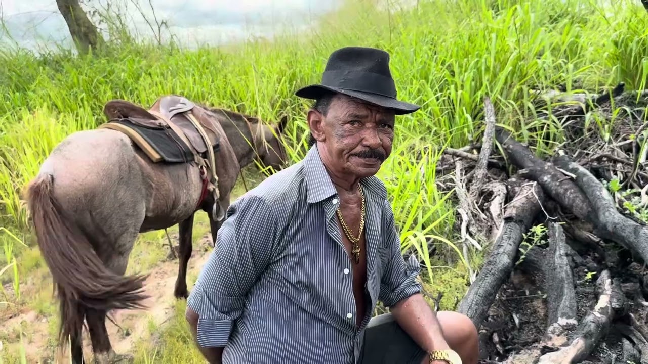 CHARLLES, TÕE E TIRINGA ROUBANDO MELANCIA NA FAZENDA DO GOIÁS | CHÁCARA COMÉDIA SELVAGEM