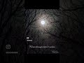 My favorite super moon shots!