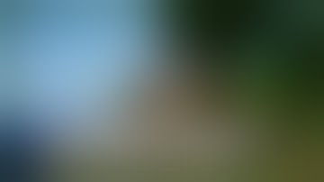 How To Download Common Capabilities Mod 1.16.4/1.15.2/1.12.2 & Install for Minecraft