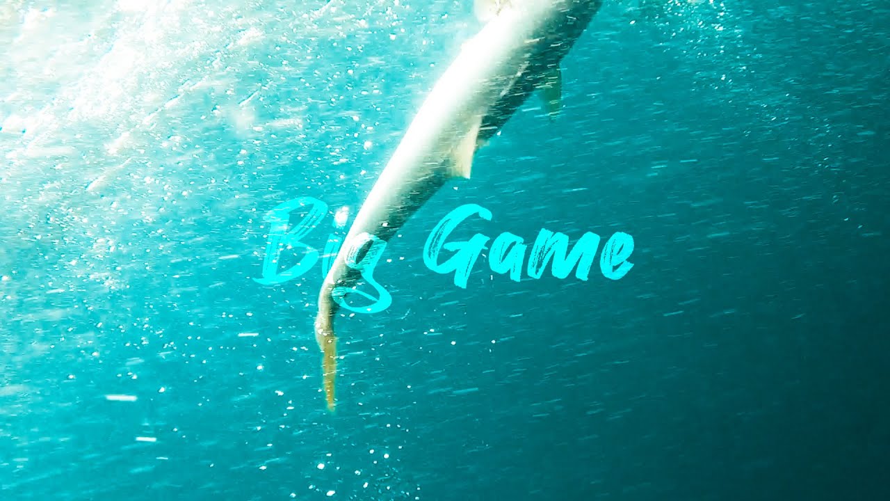 빅게임낚시 I 파핑낚시 I 부시리 I 방어 I BIG GAME FISHING I TEASER VIDEO YouTube