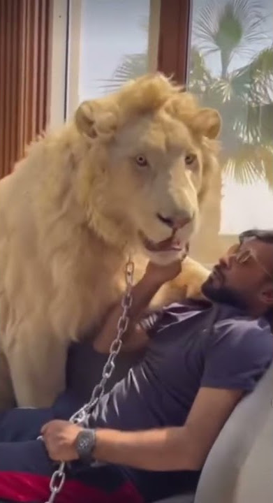 SINGA SEBAGAI SIMBOL KEKAYAAN DI DUBAI