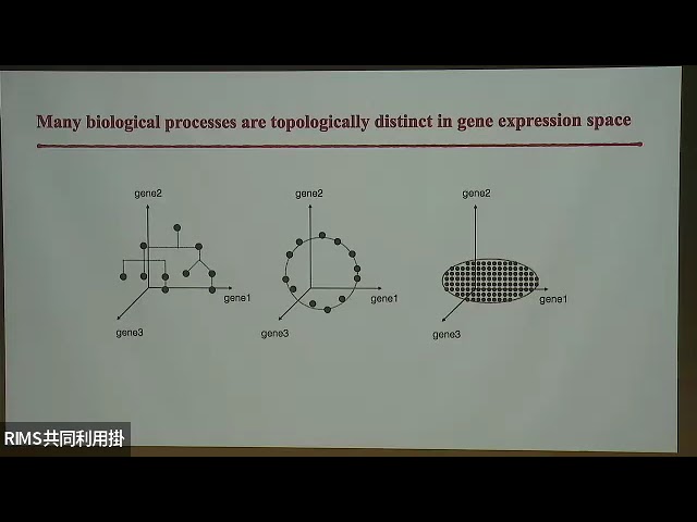 Mor Nitzan: Learning Diffeomorphisms for Dynamical Prototype Matching in Biological Data