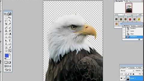 photoshop 7 tutorial bangla  part 6 background changing graphic design and photo editing