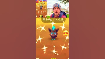 Imagine If This Had Worked! Zorua Shiny Trick #pokemongo #pokémon #shortsfeed #shorts