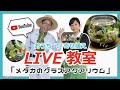 おうちで寄せ植え　LIVE　教室　「グラスアクアリウムをつくろう！」