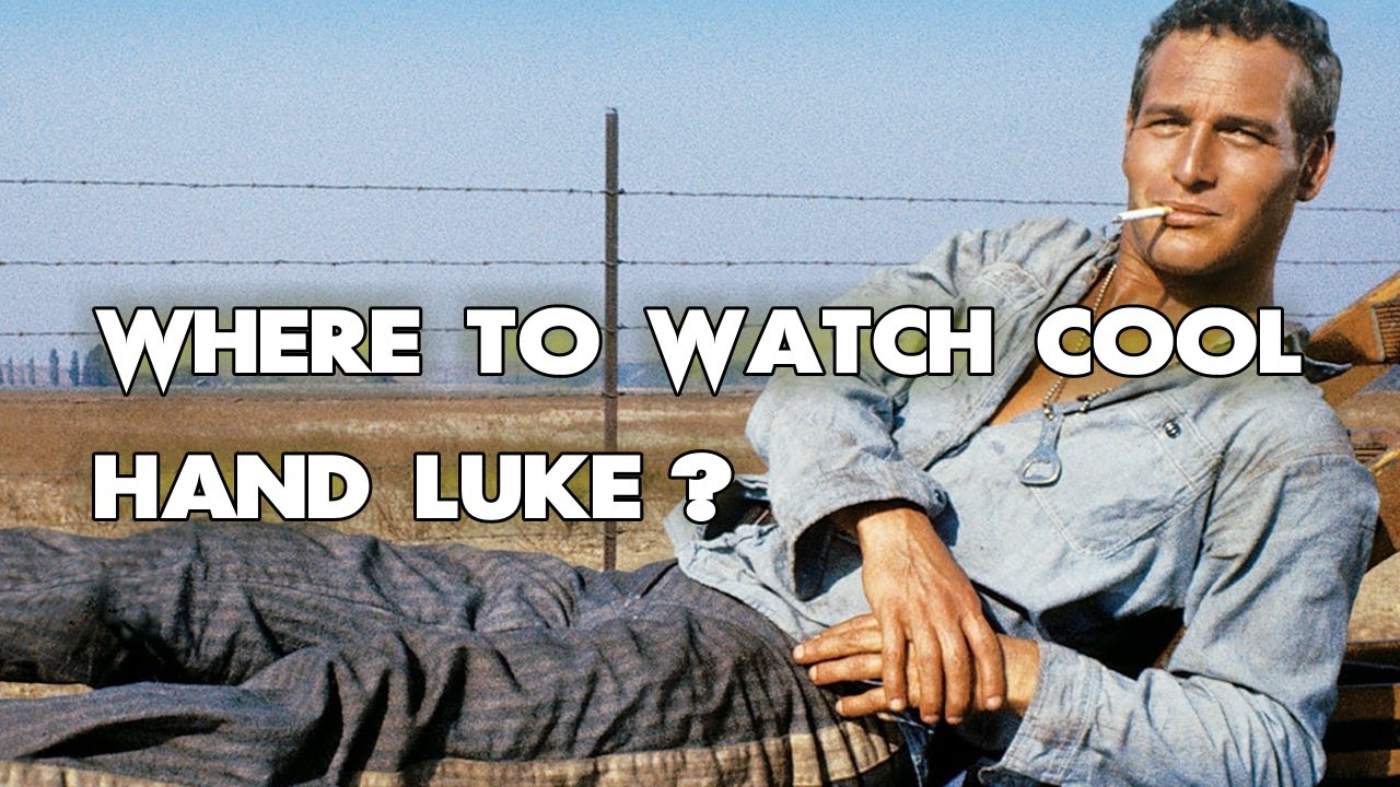 Where To Watch Cool Hand Luke? ALL WAYS to DO IT!! - YouTube