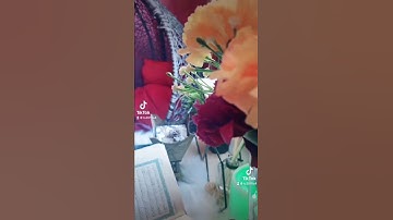 قرآن كريم 🌺
