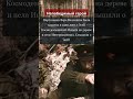 Жертвенная стойкость #антропология #традиции #социология #философия #древниймир #историческиефакты #